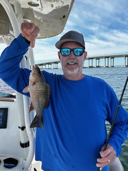 Mangrove Snapper Fishing in Niceville, Florida