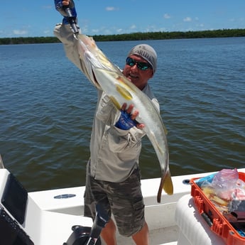 Fishing in Chokoloskee, Florida
