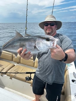 Amberjack Fishing in Niceville, Florida