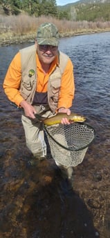 Brown Trout fishing in Littleton, Colorado