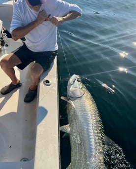 Tarpon Fishing in Miami Beach, Florida