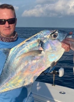 African Pompano Fishing in Key West, Florida