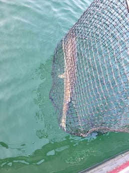 Fishing in Mosinee, Wisconsin