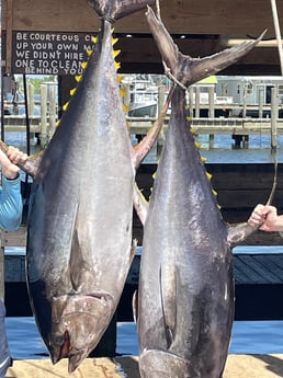 Yellowfin Tuna Fishing in Boothville-Venice, Louisiana