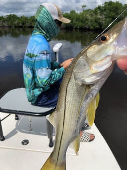 Snook Fishing in Chokoloskee, Florida