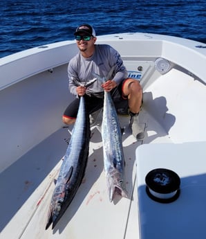 King Mackerel / Kingfish, Wahoo Fishing in Layton Key, Florida