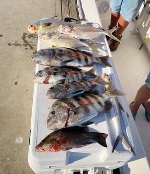 Florida Pompano, Mangrove Snapper, Sheepshead Fishing in Port Orange, Florida