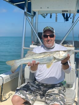 Snook Fishing in Melbourne, Florida