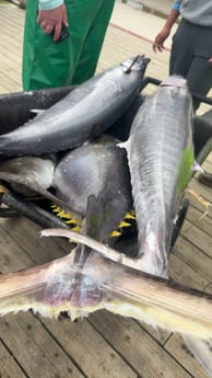 Fishing in Buras, Louisiana