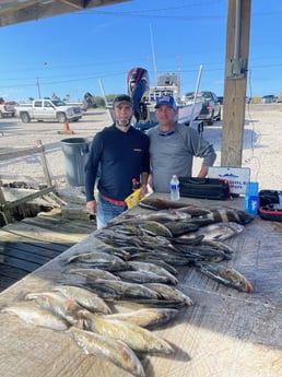 Redfish, Sheepshead, Speckled Trout / Spotted Seatrout Fishing in Yscloskey, Louisiana