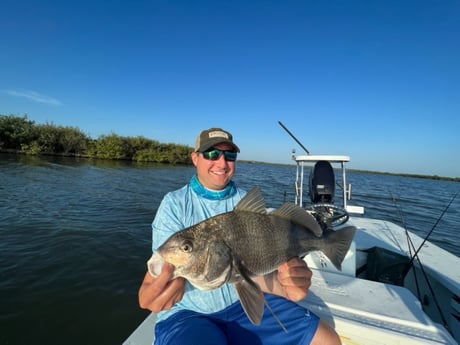 Black Drum Fishing in Oak Hill, Florida