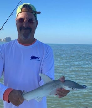 Bonnethead Shark Fishing in Clearwater, Florida