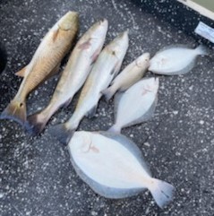 Flounder, Redfish, Speckled Trout / Spotted Seatrout fishing in St. Augustine, Florida