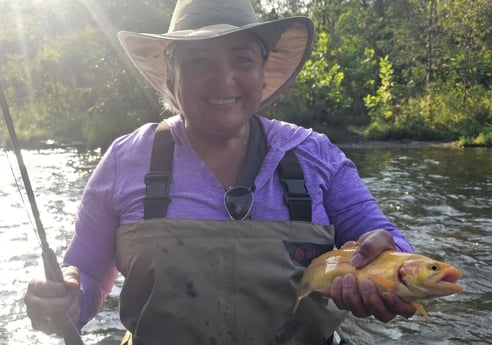 Golden Trout Fishing in Broken Bow, Oklahoma