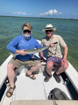 Barracuda fishing in Summerland Key, Florida
