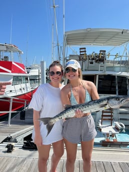 Barracuda Fishing in West Palm Beach, Florida