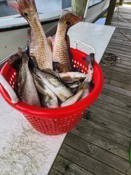 Fishing in Saint Bernard, Louisiana