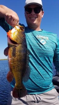 Peacock Bass Fishing in Fort Lauderdale, Florida