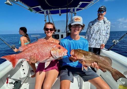 Red Grouper, Red Snapper Fishing in Bay Pines, Florida, USA