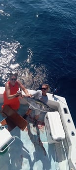 Blackfin Tuna Fishing in West Palm Beach, Florida