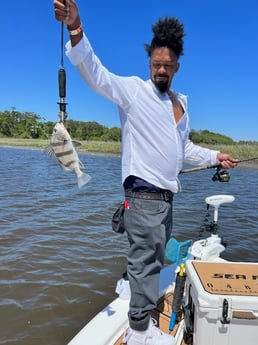 Black Drum Fishing in Little River, South Carolina