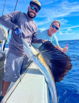 Sailfish Fishing in Miami, Florida