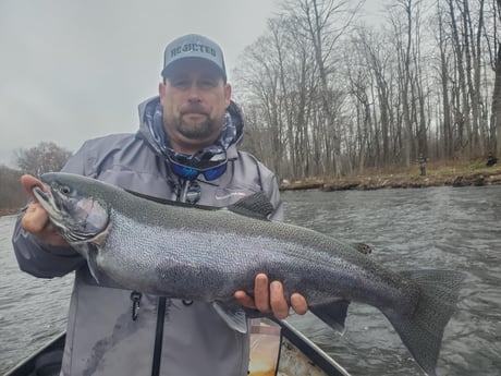 Coho Salmon fishing in Pulaski, New York