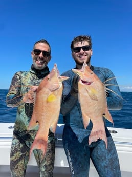 Hogfish Fishing in Islamorada, Florida