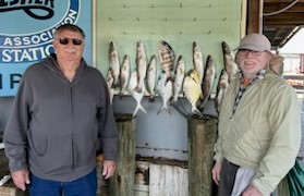 Florida Pompano, Sheepshead, Speckled Trout / Spotted Seatrout Fishing in Crystal River, Florida