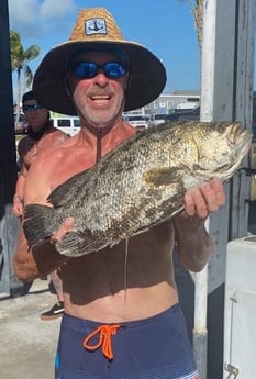 Tripletail Fishing in Key West, Florida