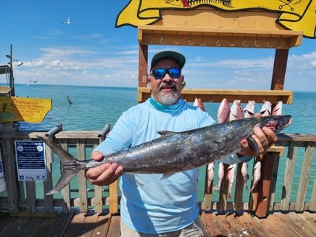 King Mackerel / Kingfish Fishing in Port Isabel, Texas