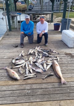 Black Drum, Redfish, Sheepshead, Speckled Trout Fishing in Sulphur, Louisiana
