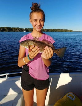 Redfish Fishing in St. Augustine, Florida
