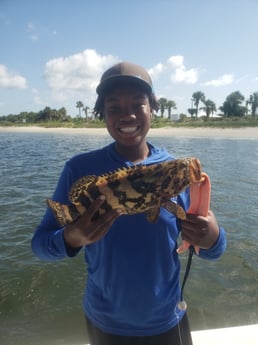 Goliath Grouper Fishing in New Smyrna Beach, Florida