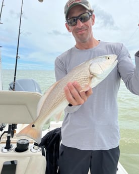 Redfish Fishing in Key Largo, Florida