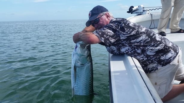 Tarpon Fishing in Clearwater, Florida