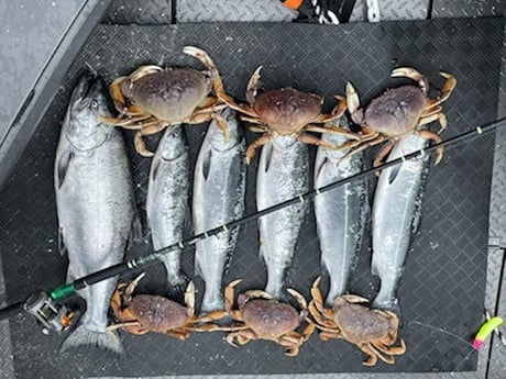 Chinook Salmon, Crab Fishing in Garibaldi, Oregon