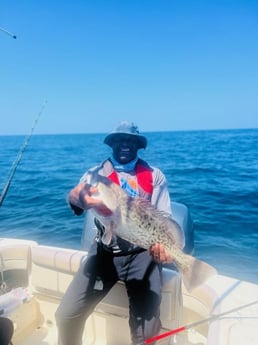 Gag Grouper Fishing in Charleston, South Carolina