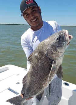 Black Drum fishing in San Leon, Texas