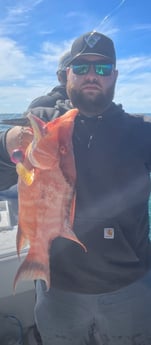 Fishing in Tierra Verde, Florida