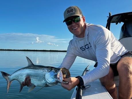 Tarpon fishing in Cudjoe Key, Florida