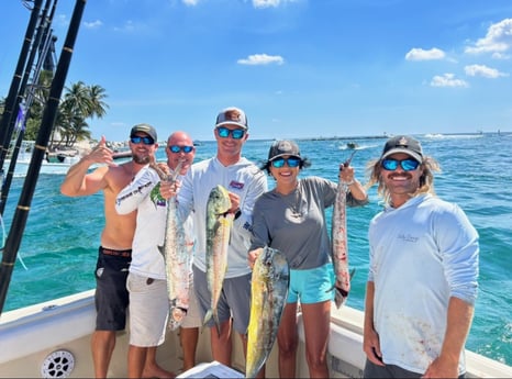 Barracuda, Mahi Mahi Fishing in Pompano Beach, Florida