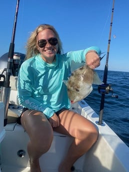 Triggerfish Fishing in Destin, Florida