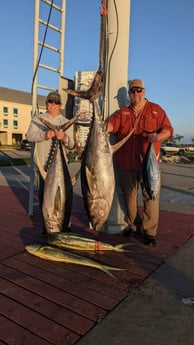 Blackfin Tuna, Mahi Mahi / Dorado, Yellowfin Tuna Fishing in Venice, Louisiana