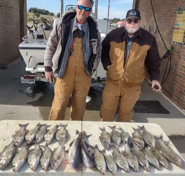 Blue Catfish, Hybrid Striped Bass, Striped Bass Fishing in Runaway Bay, Texas
