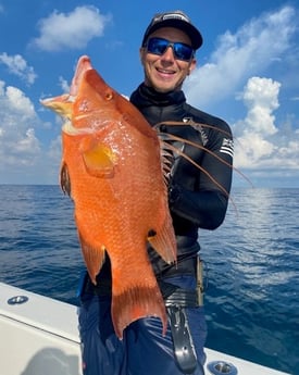 Hogfish fishing in Islamorada, Florida