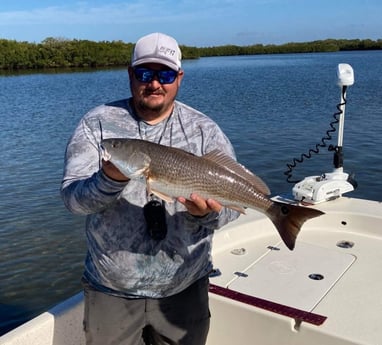 Redfish Fishing in Crystal River, Florida