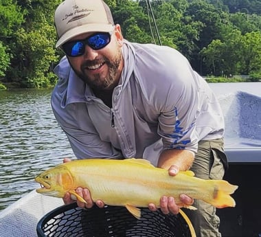 Golden Trout fishing in Broken Bow, Oklahoma