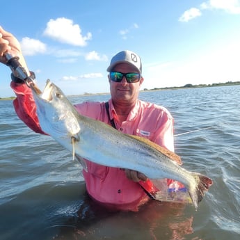 Speckled Trout Fishing in Aransas Pass, Texas