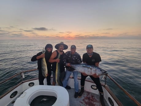 Bluefin Tuna, Mahi Mahi / Dorado Fishing in San Diego, California